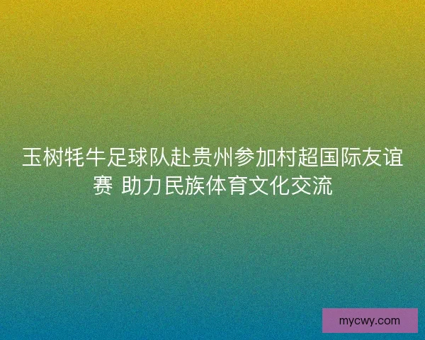 玉树牦牛足球队赴贵州参加村超国际友谊赛 助力民族体育文化交流